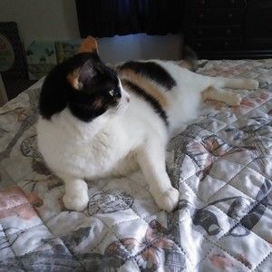 Meet your Posher, Posh